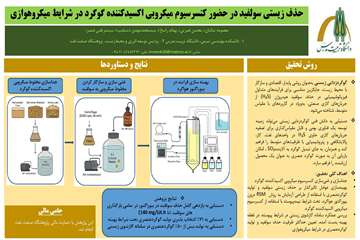 قالب فارسی چکیده مصور (3)